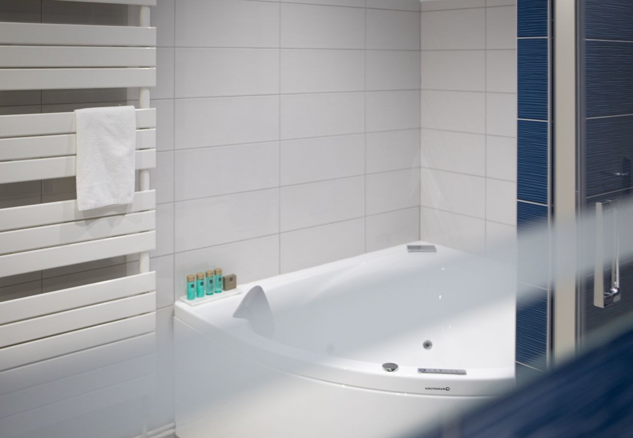 Apartment in Colmar - hansi spa city center  up to 4