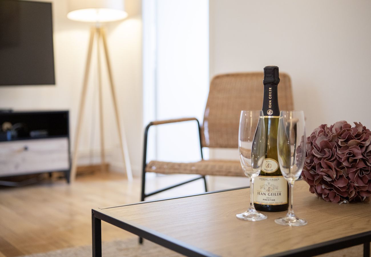 Apartment in Colmar - hansi spa city center  up to 4