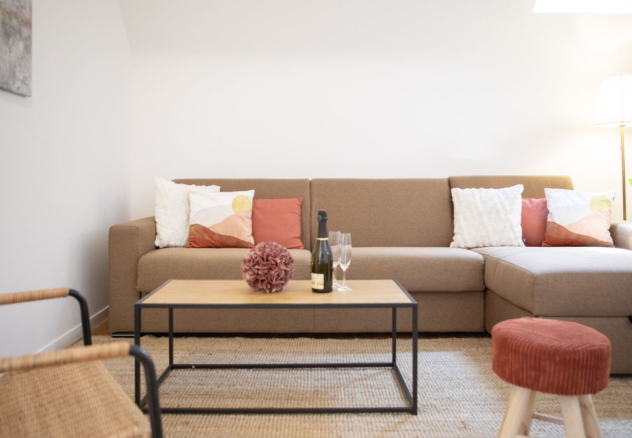 Apartment in Colmar - hansi spa city center  up to 4