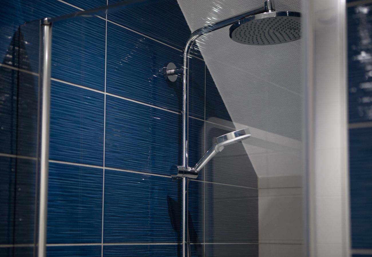 Apartment in Colmar - hansi spa city center  up to 4