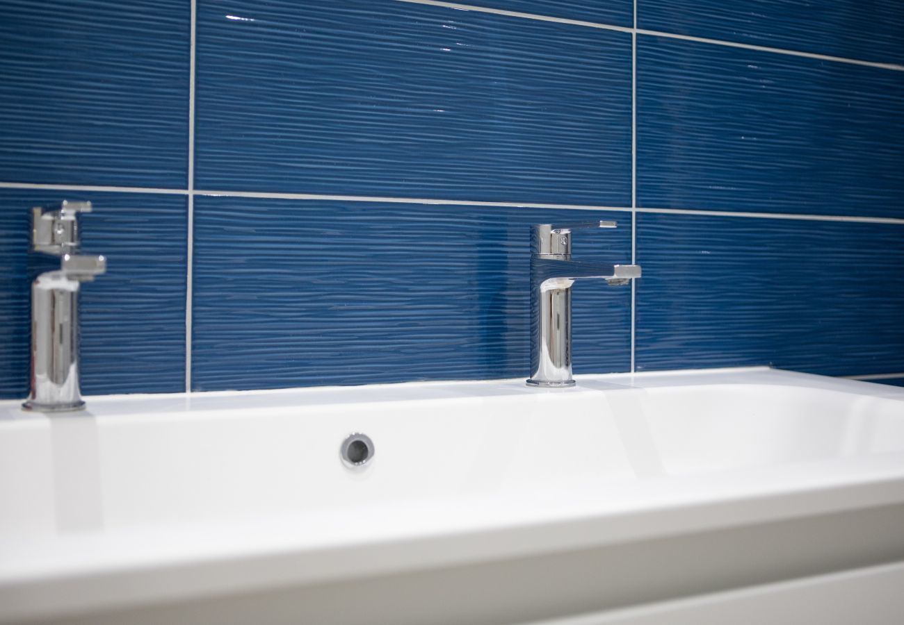 Apartment in Colmar - hansi spa city center  up to 4