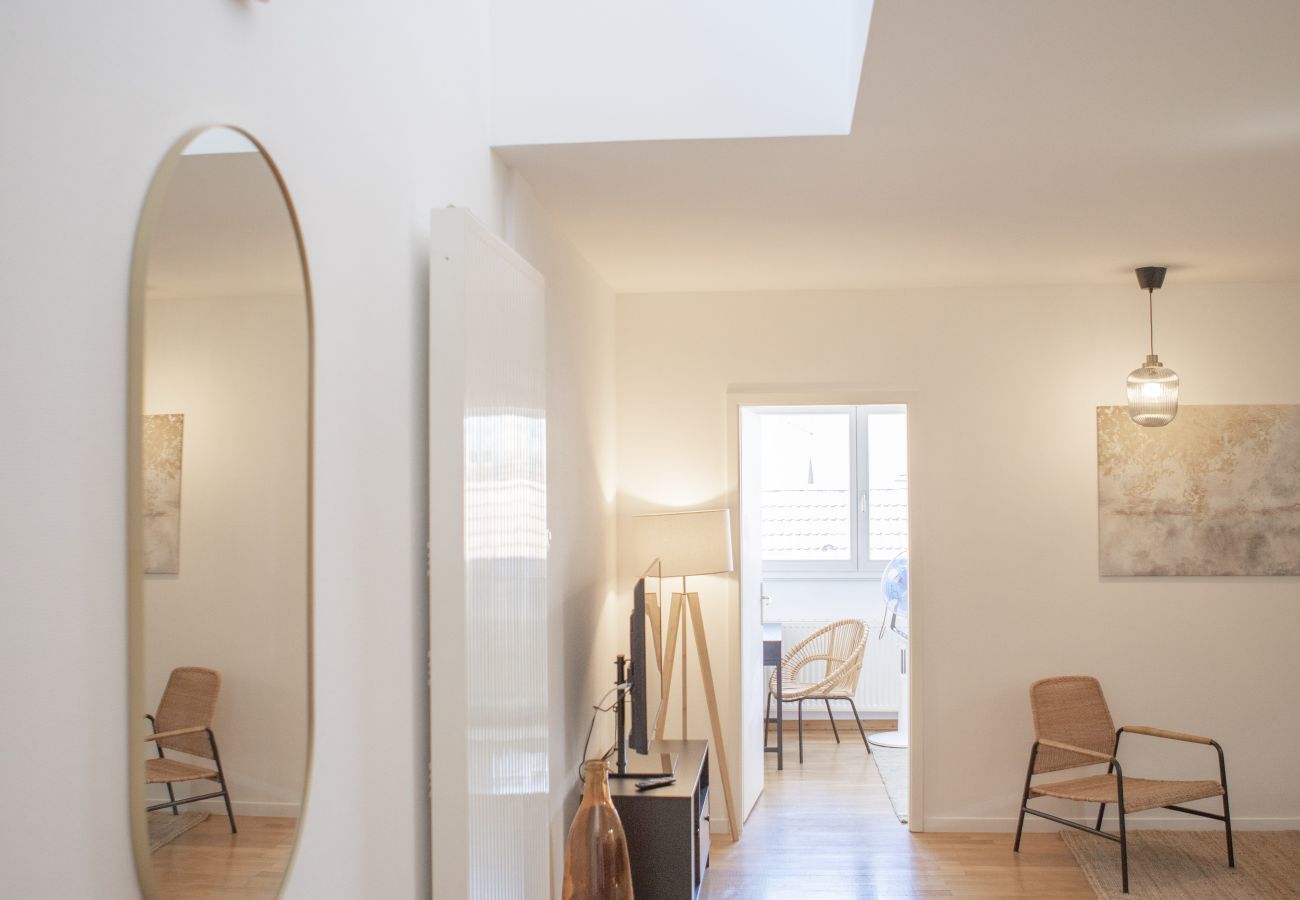 Apartment in Colmar - hansi spa city center  up to 4