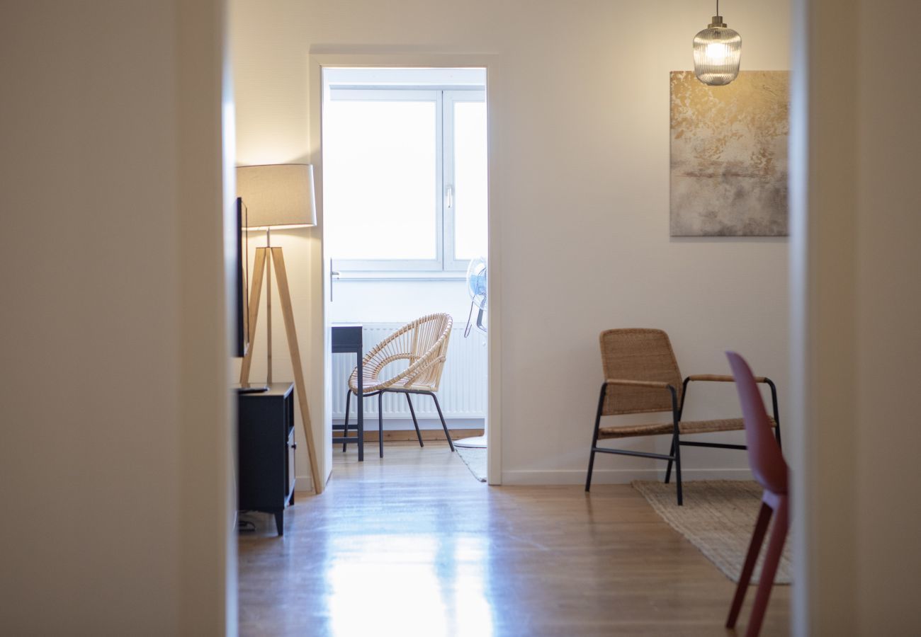Apartment in Colmar - hansi spa city center  up to 4