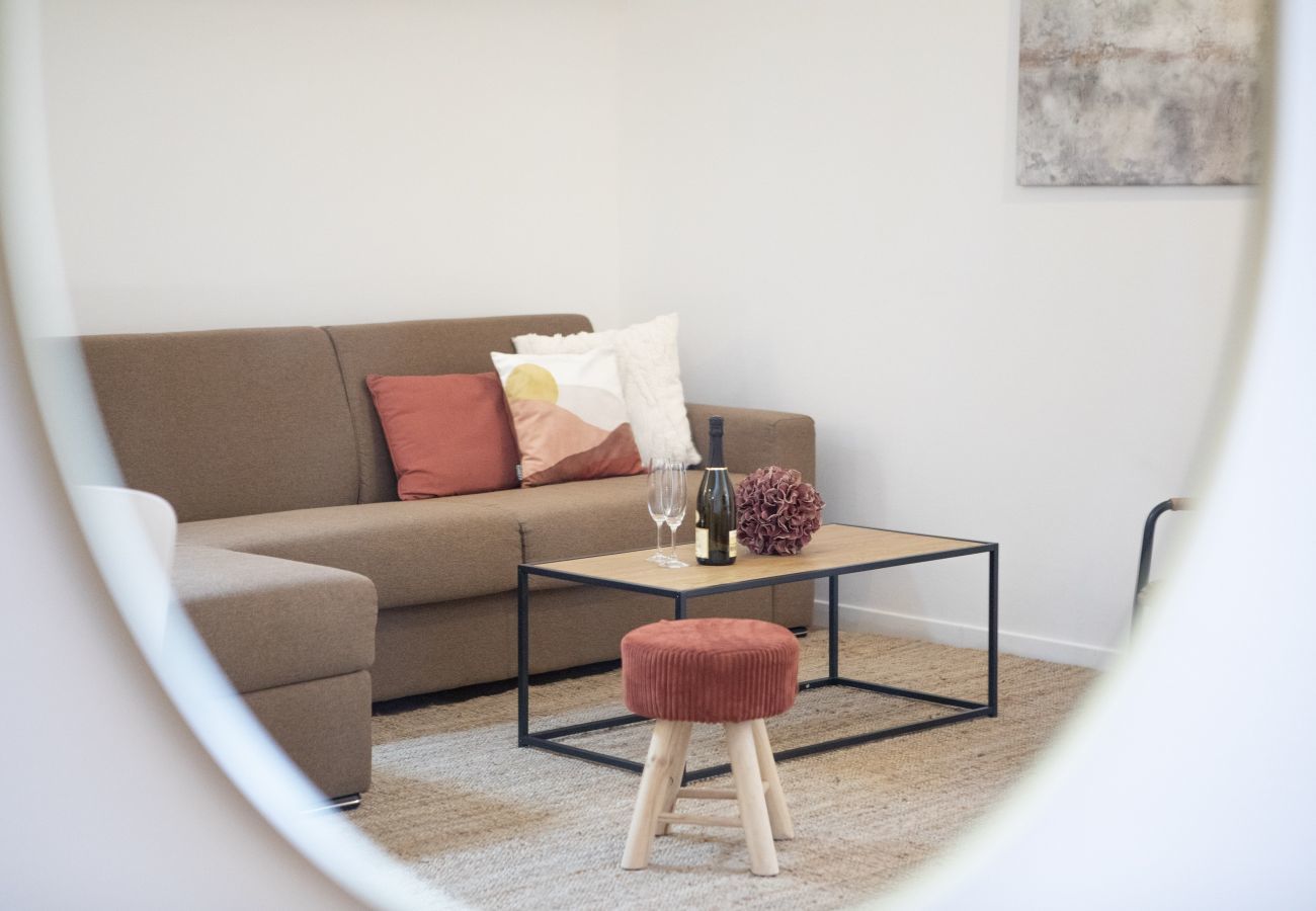 Apartment in Colmar - hansi spa city center  up to 4