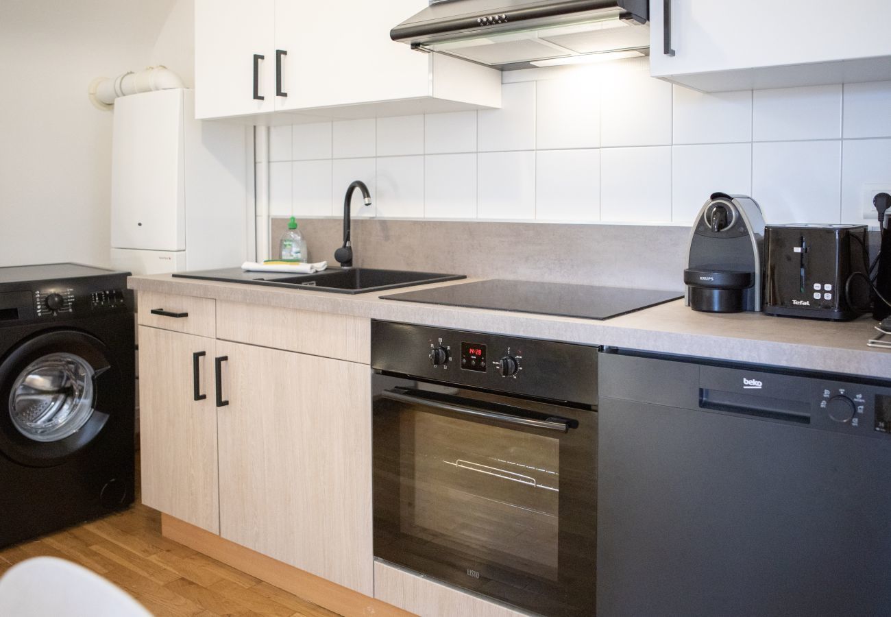 Apartment in Colmar - hansi spa city center  up to 4