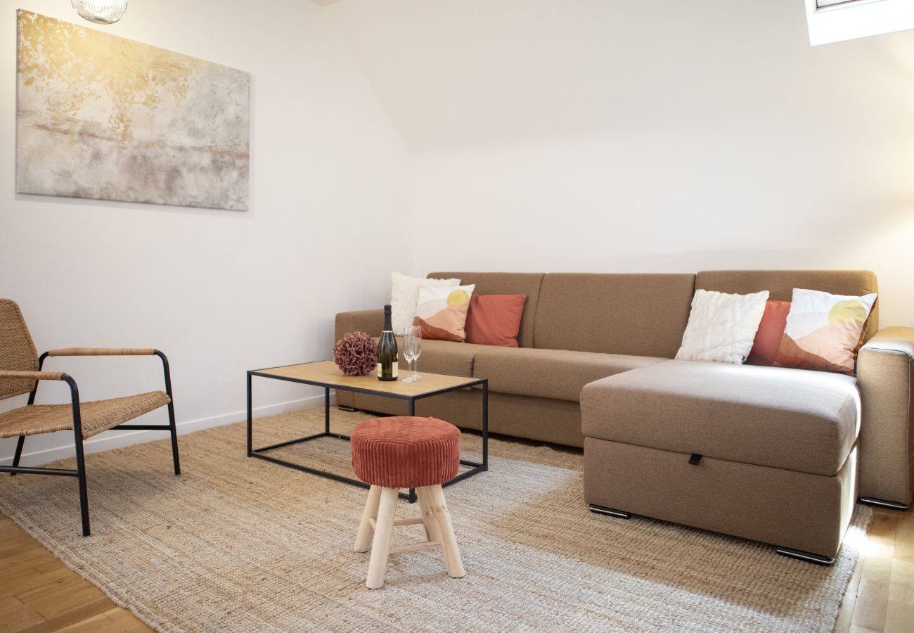 Apartment in Colmar - hansi spa city center  up to 4