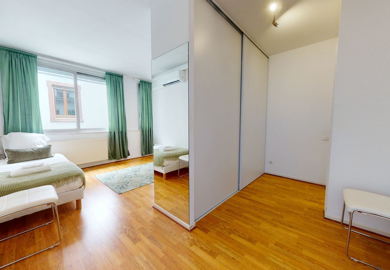 Apartment in Colmar - jaquet 138m2  city center 2br 2bth