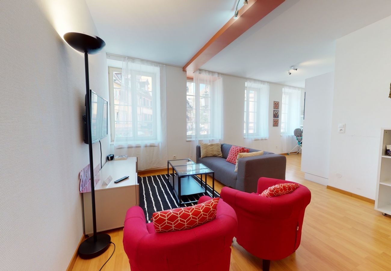 Apartment in Colmar - KIENER **** 75m² city center      3br