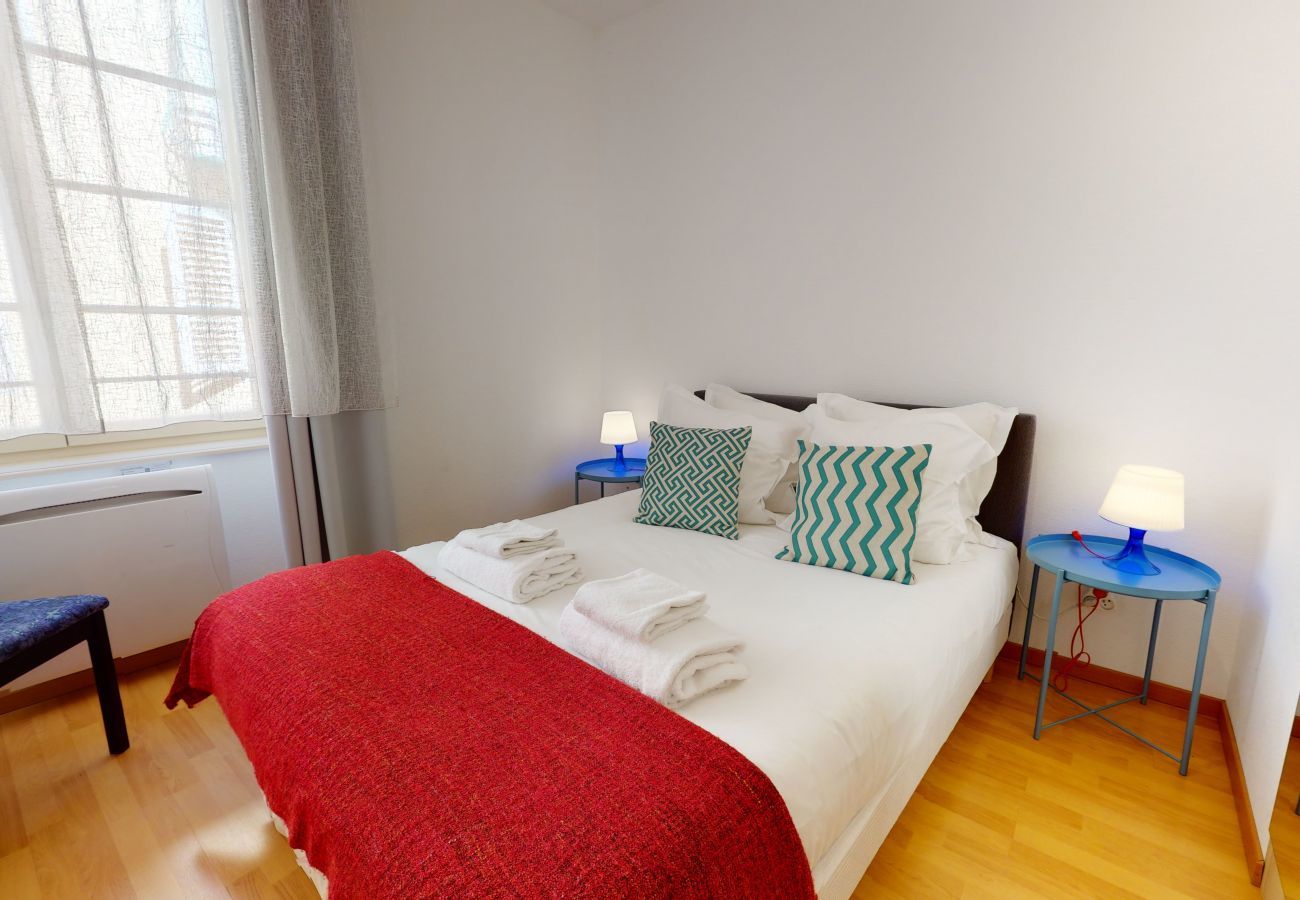 Apartment in Colmar - KIENER **** 75m² city center      3br