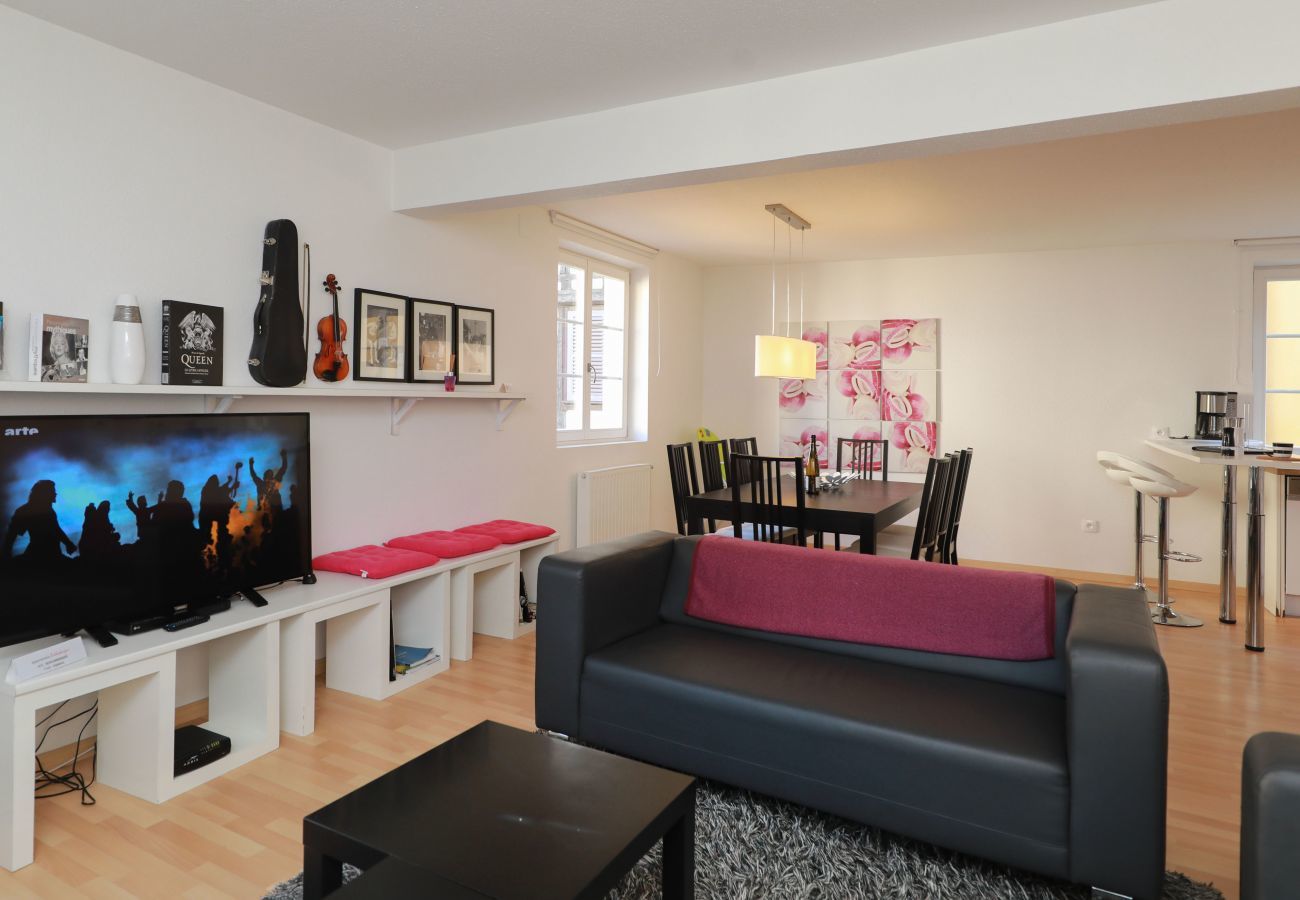 Apartment in Colmar - schlumberger 120m2 city center 3br 2bth