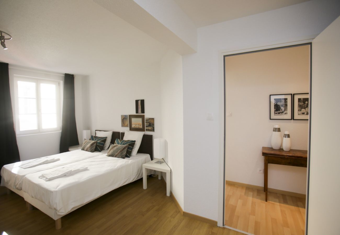 Apartment in Colmar - schlumberger 120m2 city center 3br 2bth