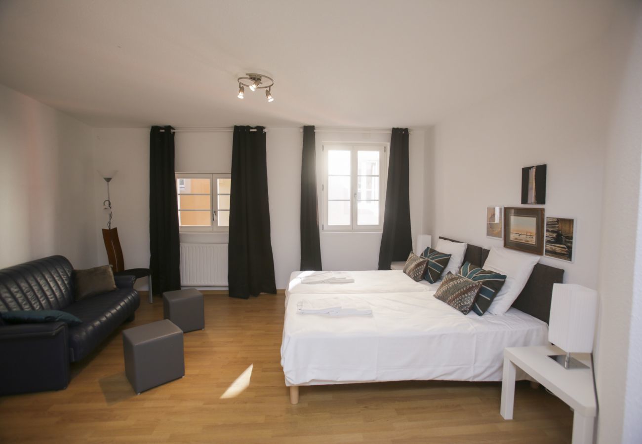 Apartment in Colmar - SCHLUMBERGER **** 120m² city center 3br 2bth