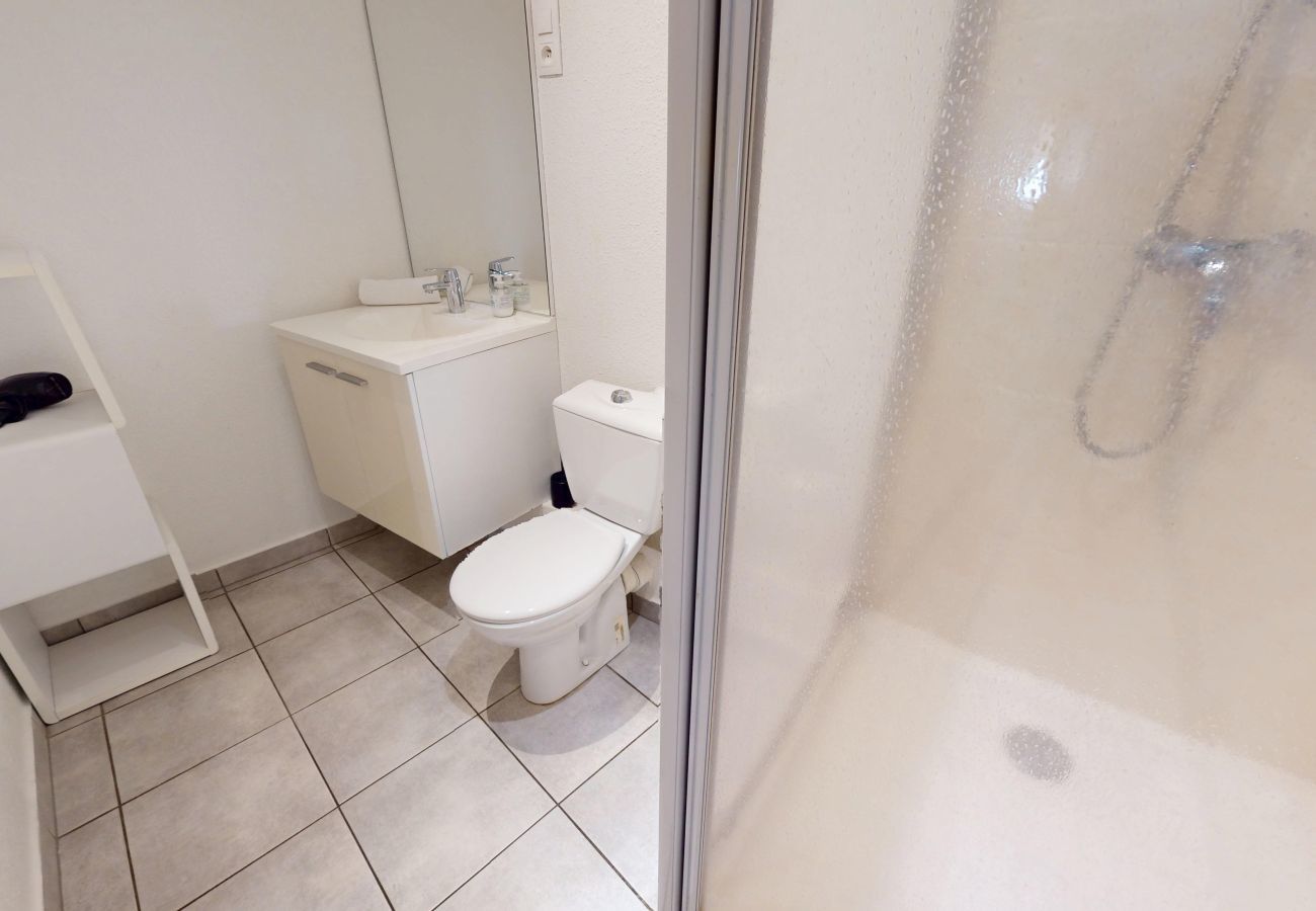 Apartment in Colmar - schlumberger 120m2 city center 3br 2bth