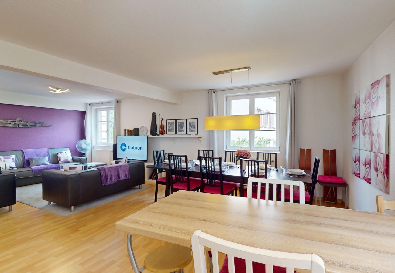 Apartment in Colmar - schlumberger 120m2 city center 3br 2bth