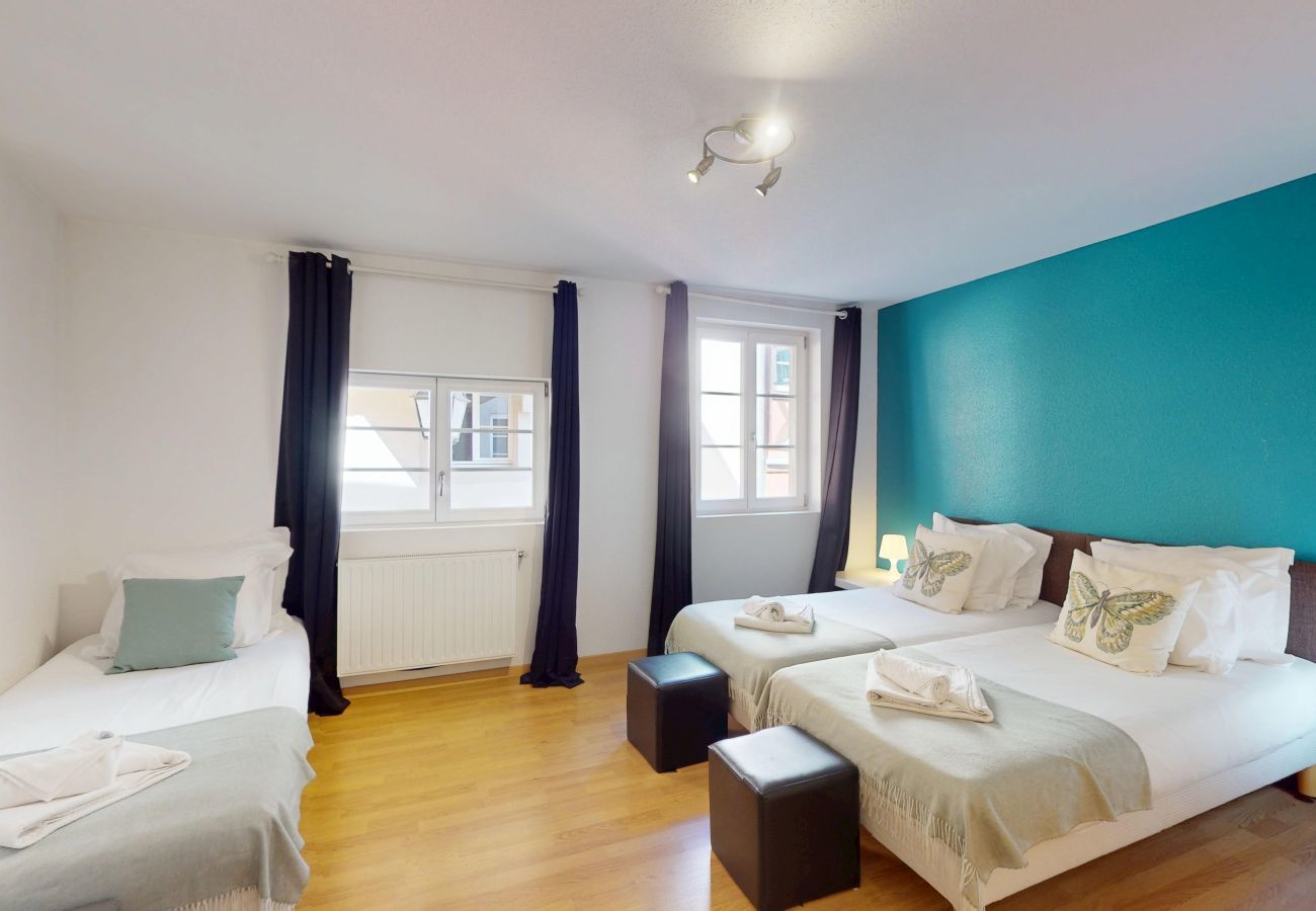 Apartment in Colmar - schlumberger 120m2 city center 3br 2bth