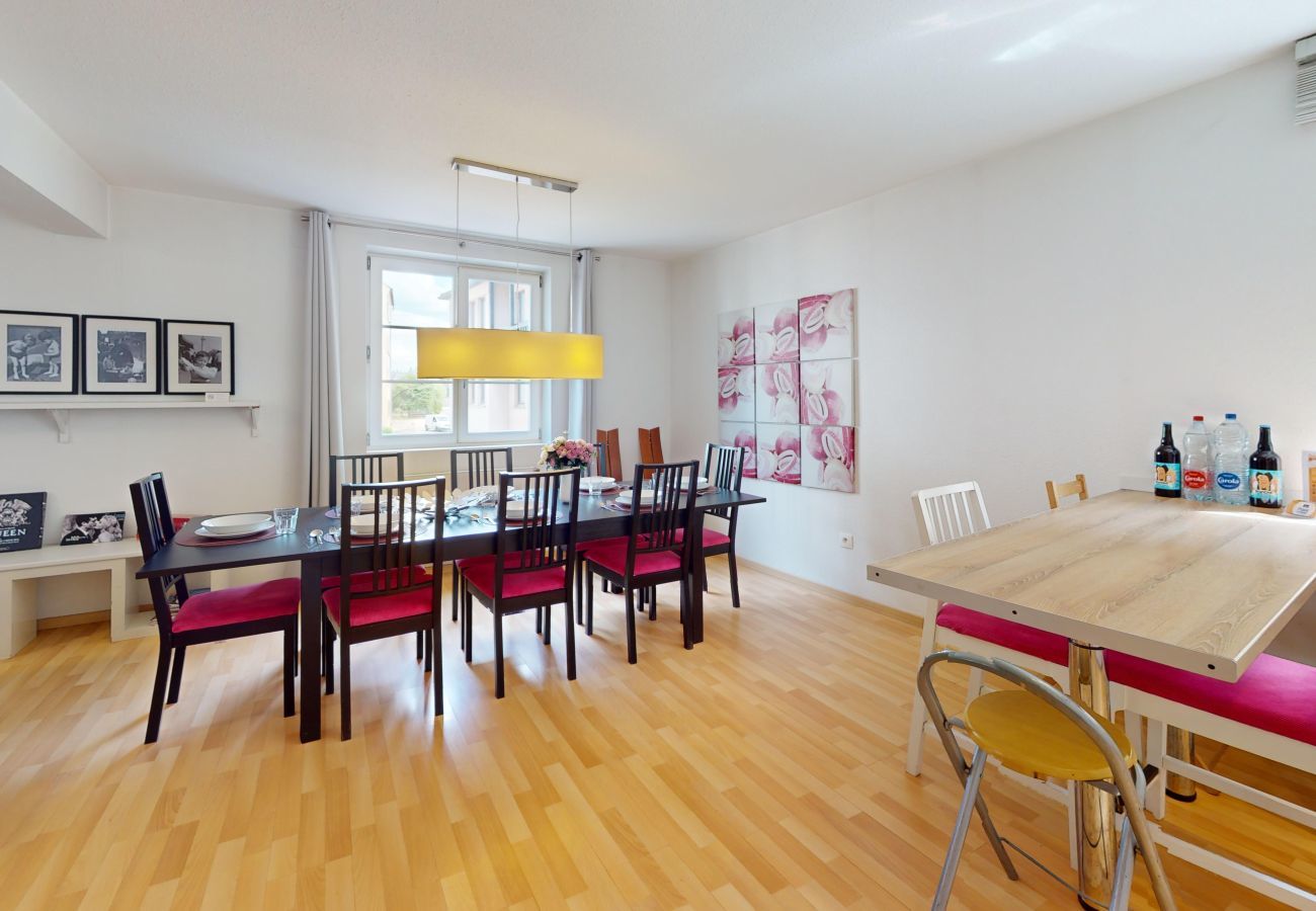 Apartment in Colmar - schlumberger 120m2 city center 3br 2bth