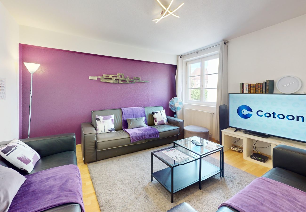 Apartment in Colmar - schlumberger 120m2 city center 3br 2bth