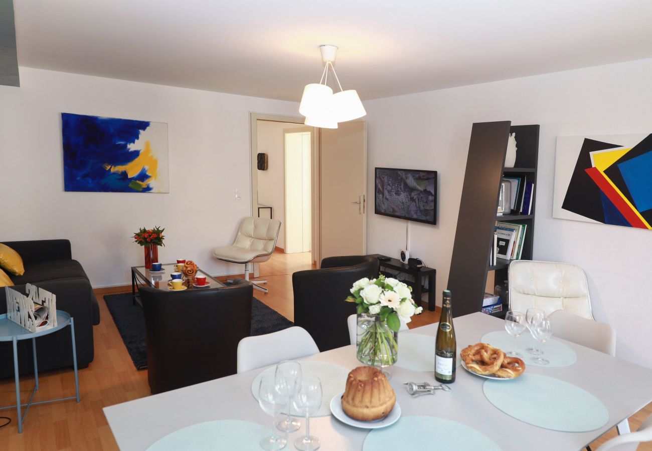 Apartment in Colmar - hartmann 80m2 city center    2br