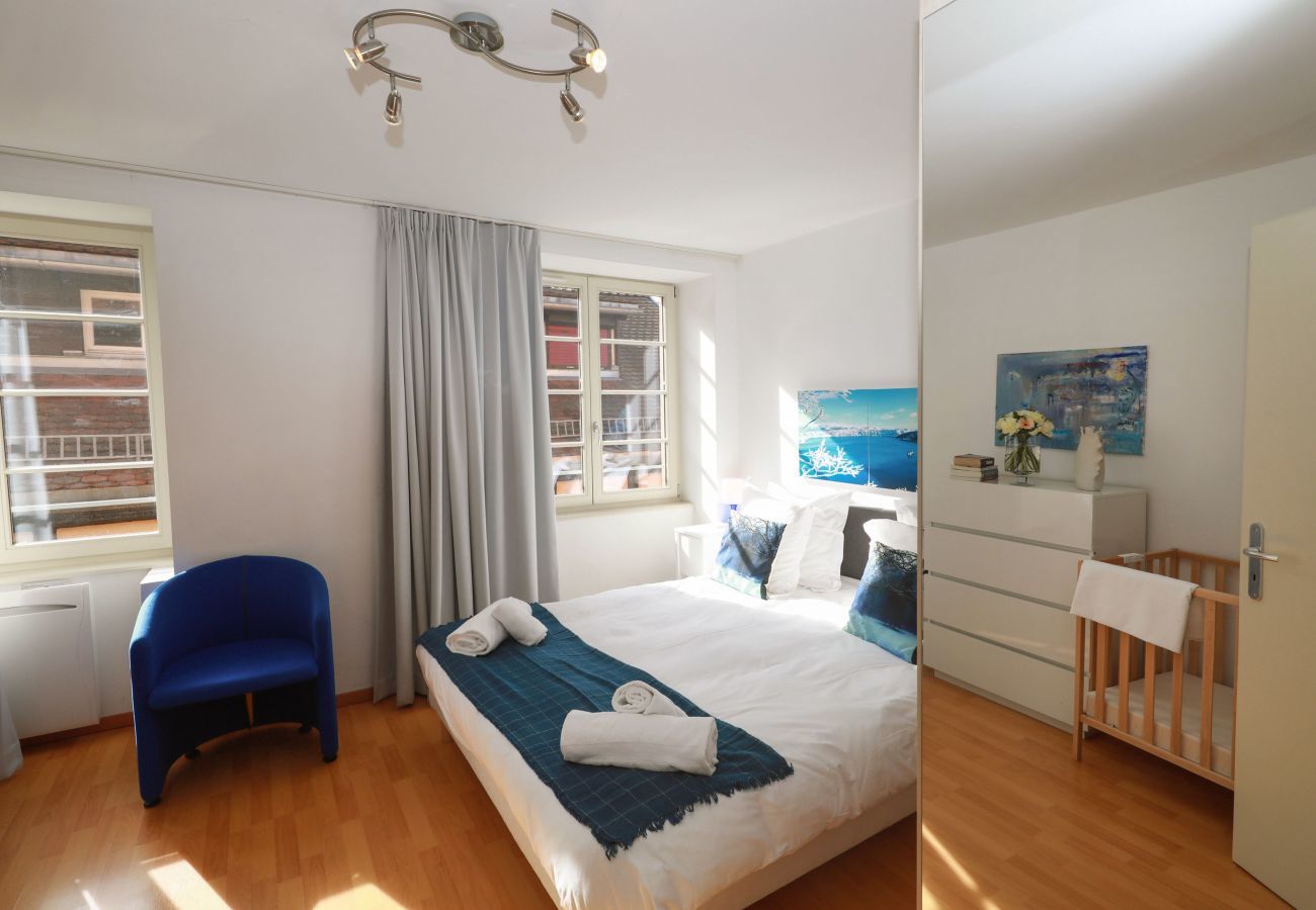 Apartment in Colmar - HARTMANN **** 80m² city center    2br