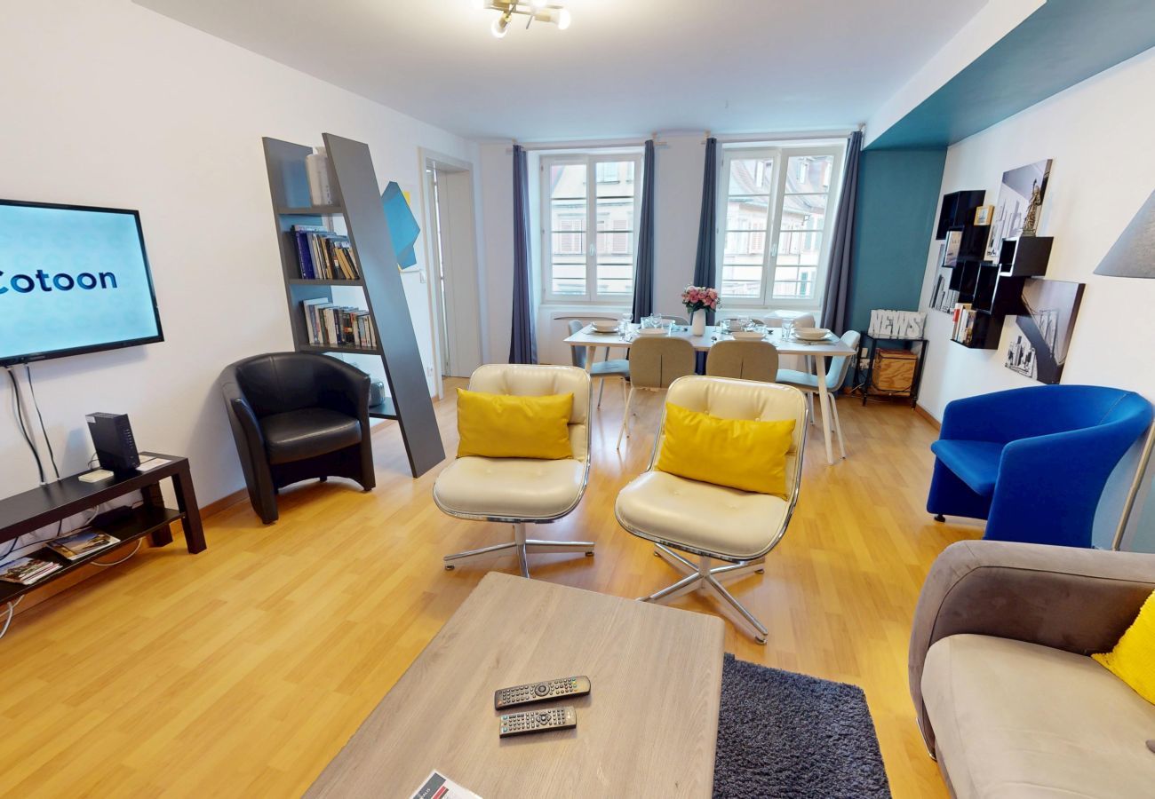 Apartment in Colmar - hartmann 80m2 city center    2br