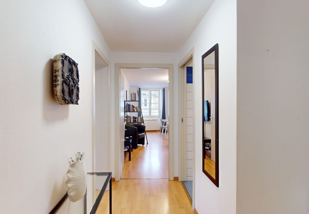 Apartment in Colmar - hartmann 80m2 city center    2br