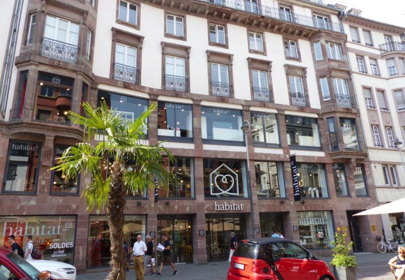 Apartment in Strasbourg - pleyel 70m2 city center     2br