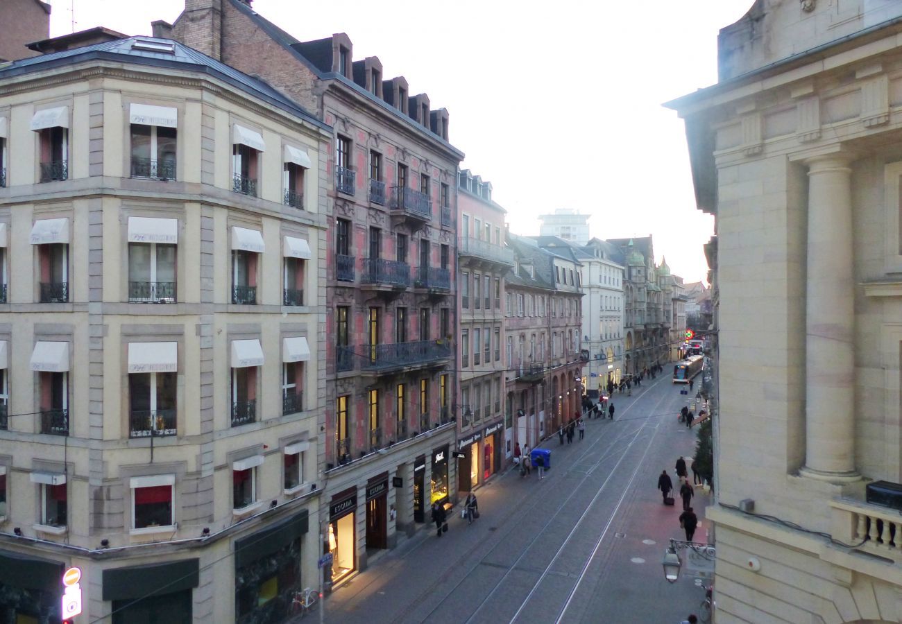 Apartment in Strasbourg - bleu mesange 90m2 city center 2br 2bth