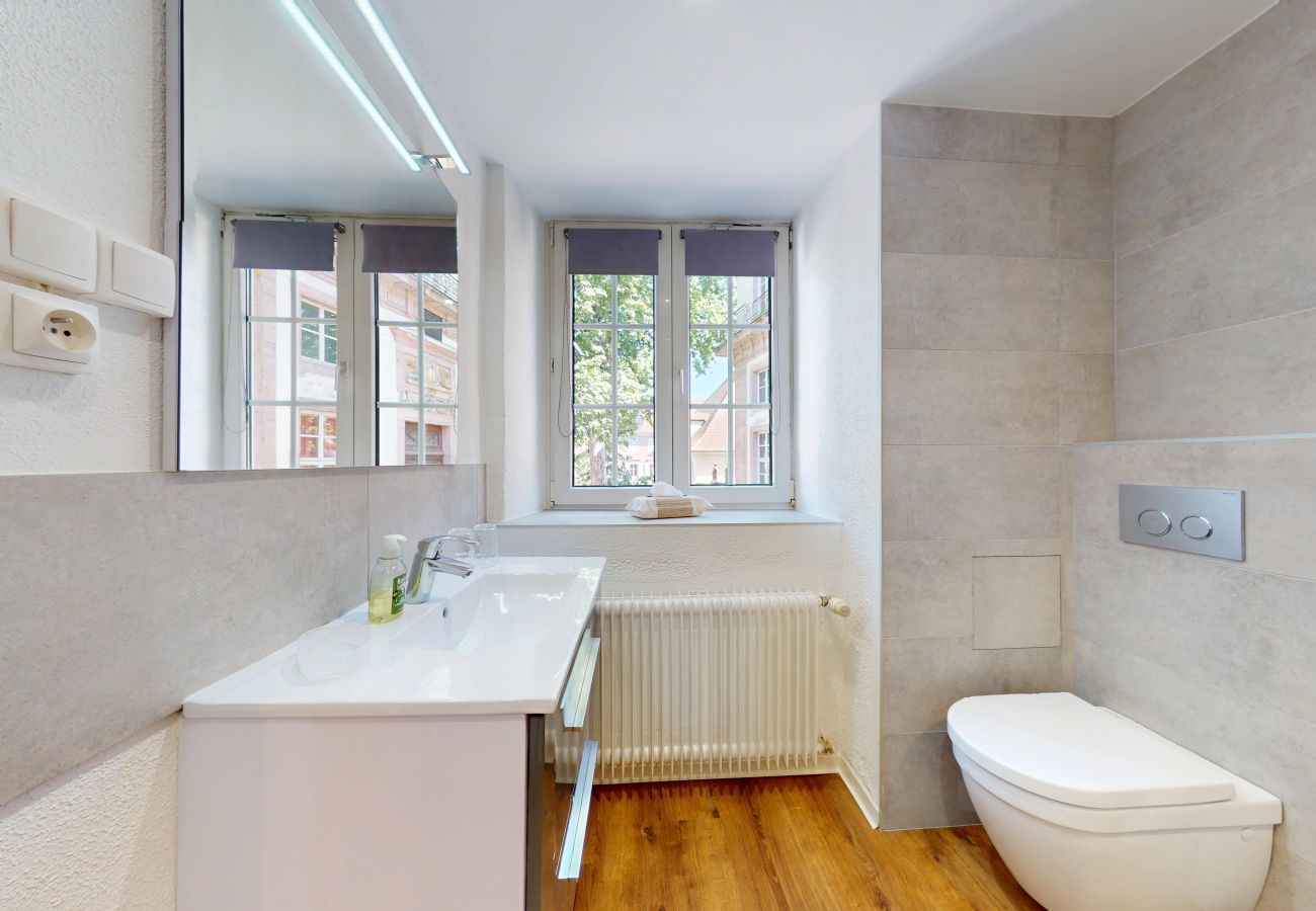 Studio in Colmar - le logis du marechal with access to lounge