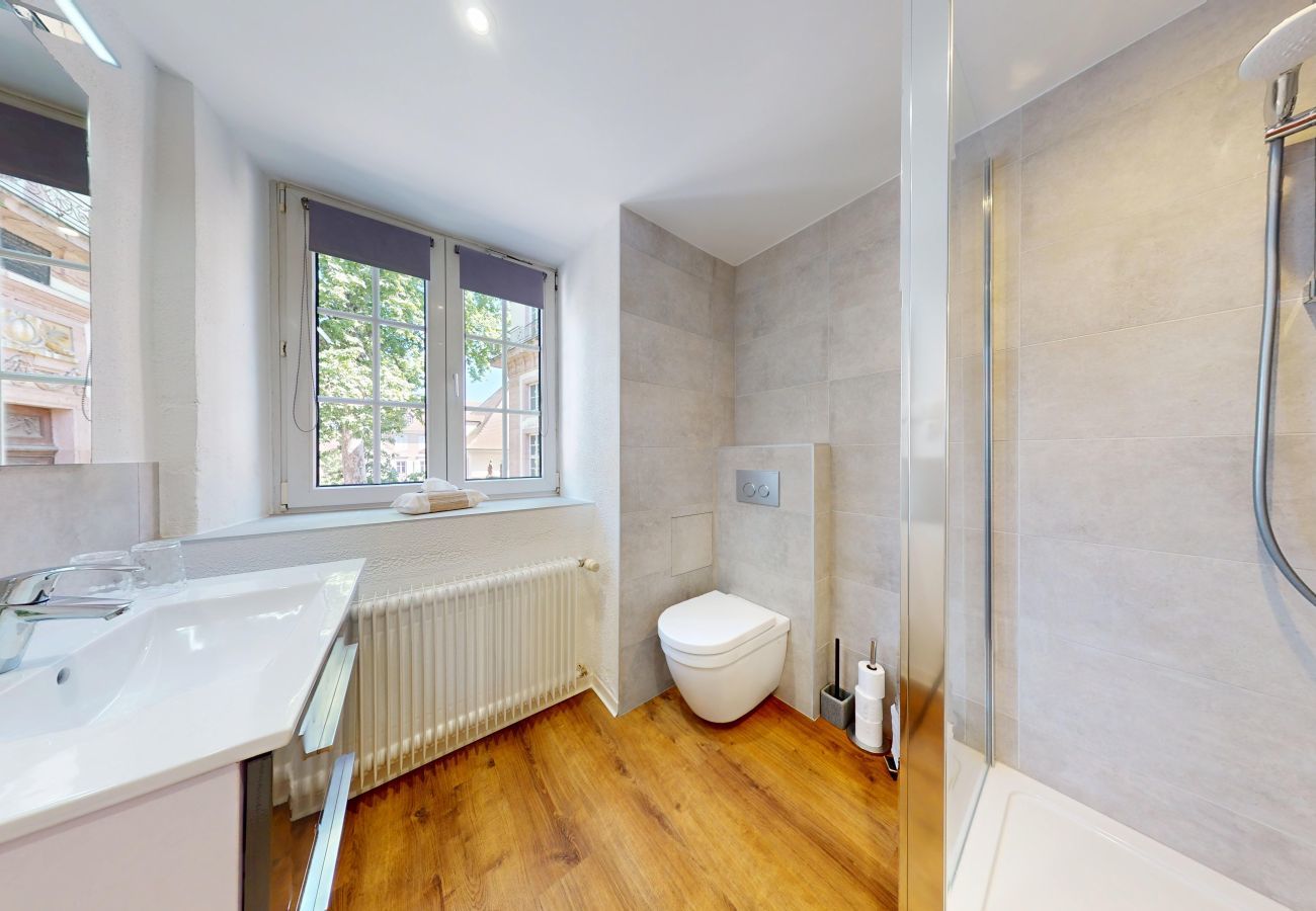 Studio in Colmar - le logis du marechal with access to lounge