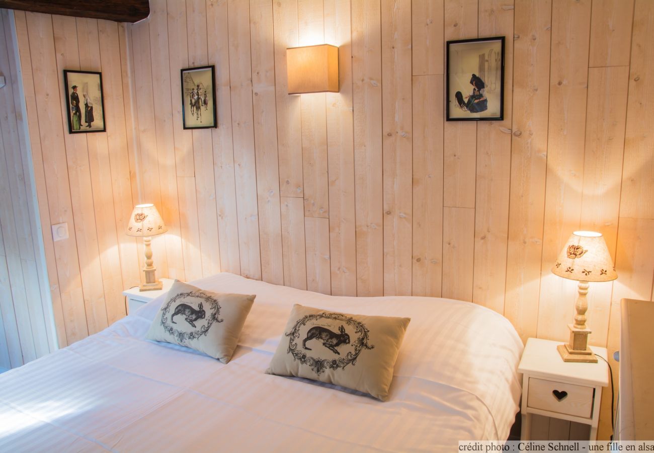 Apartment in Colmar - le repere des cigognes with access to lounge