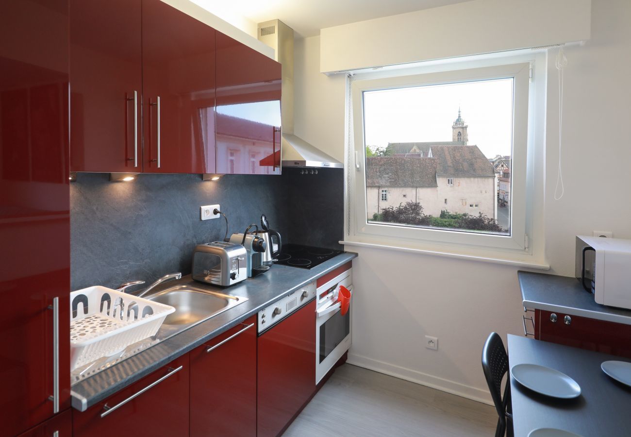 Apartment in Colmar - etoile du nord + 1 free parking   up to 4