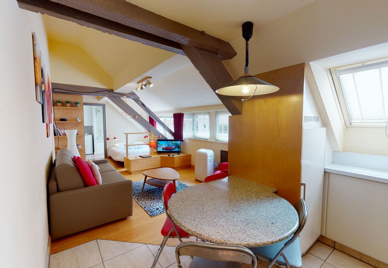 Studio in Strasbourg - loft pelletiers city center up to 4