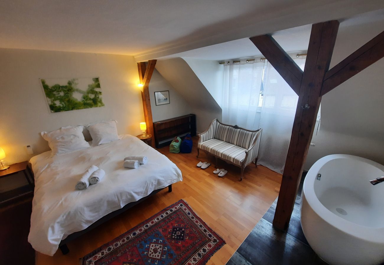 Apartment in Strasbourg - emilie 145m2 ac 1 free parking 4br 2bth