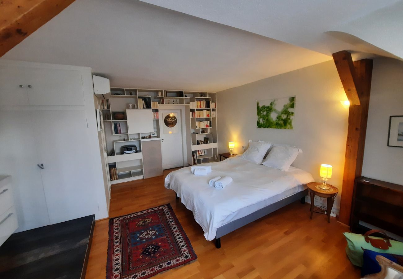 Apartment in Strasbourg - emilie 145m2 ac 1 free parking 4br 2bth