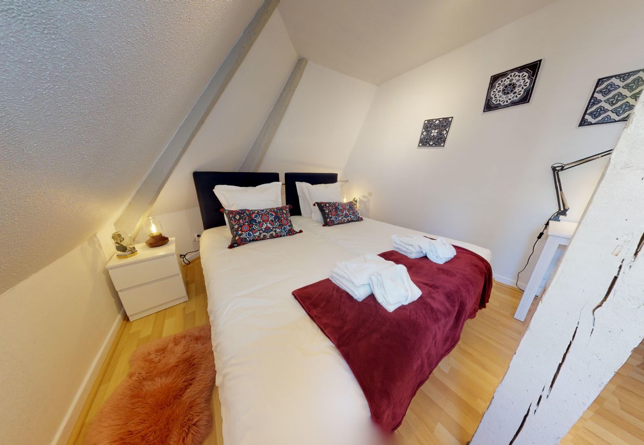 Apartment in Strasbourg - montana 3 chambres mini 30 nights    3br