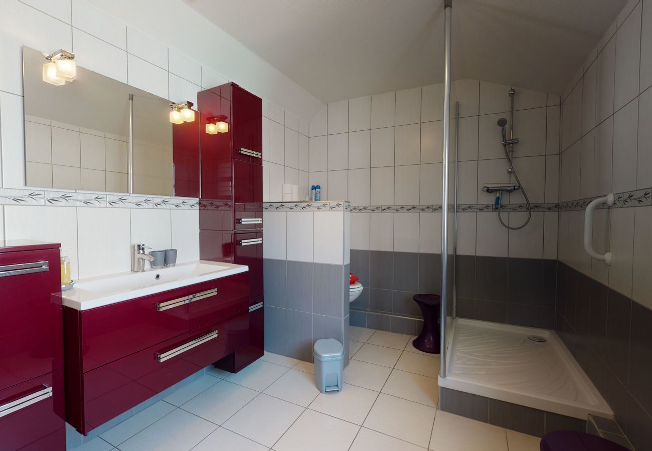 Apartment in Colmar - le saphir 1 free parking city center 3br 2bt