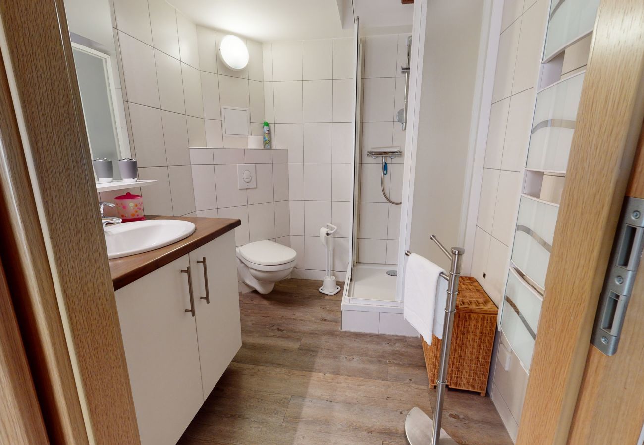 Studio in Colmar - le rubis 1 free parking city center  up to 2