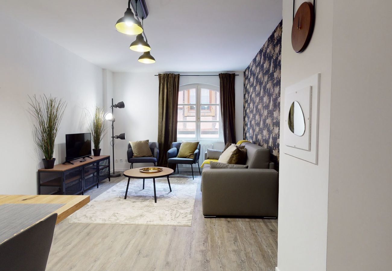 Apartment in Colmar - la commanderie 62m2 centre historique    2br