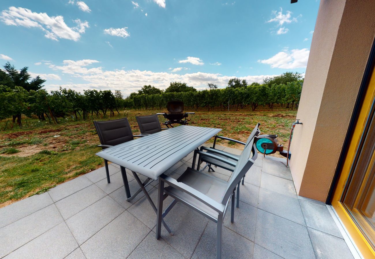 House in Hunawihr - fougere avec jacuzzi le clos des vignes