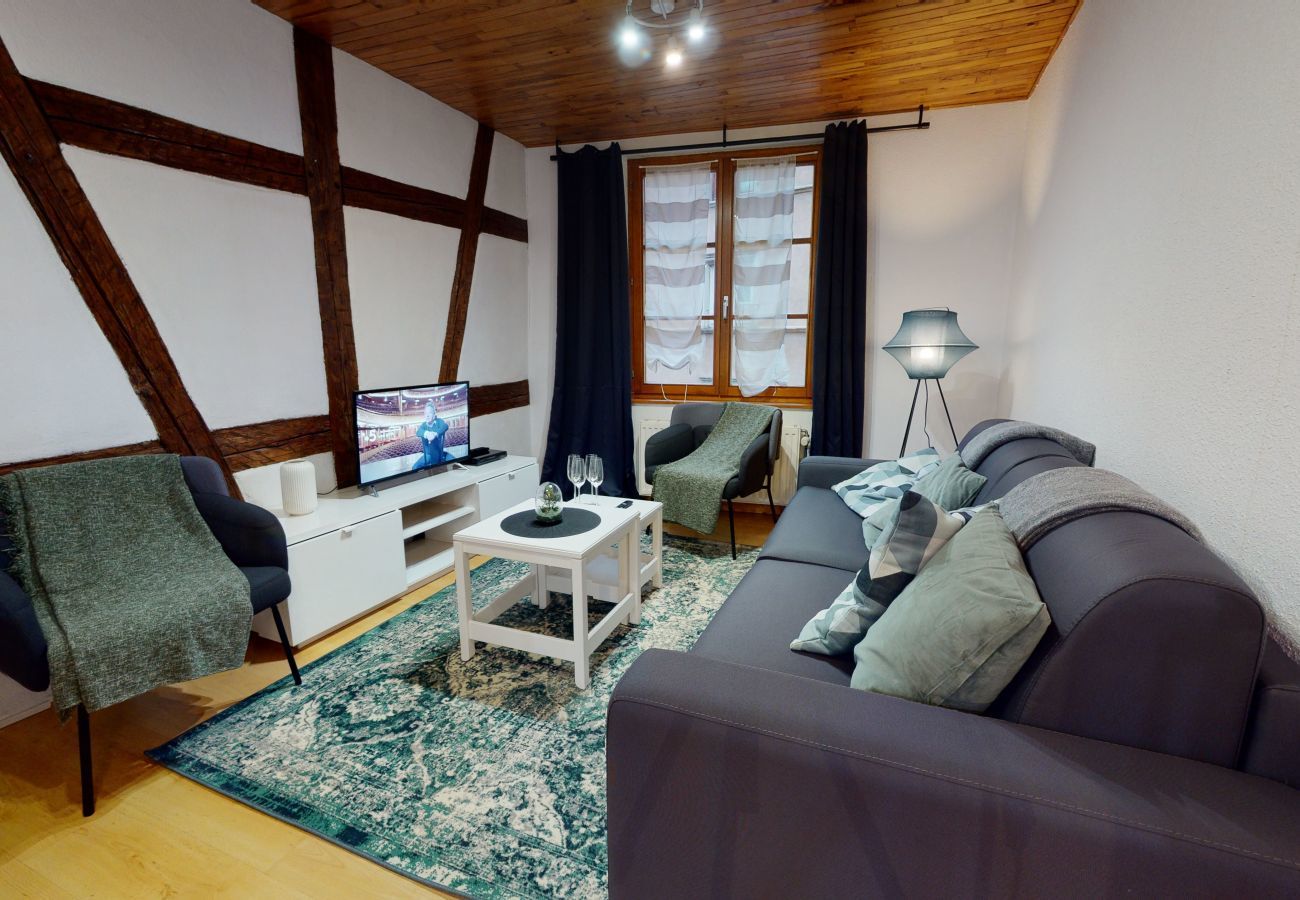 Apartment in Colmar - le petit thierenbach - maison alsacienne    2br