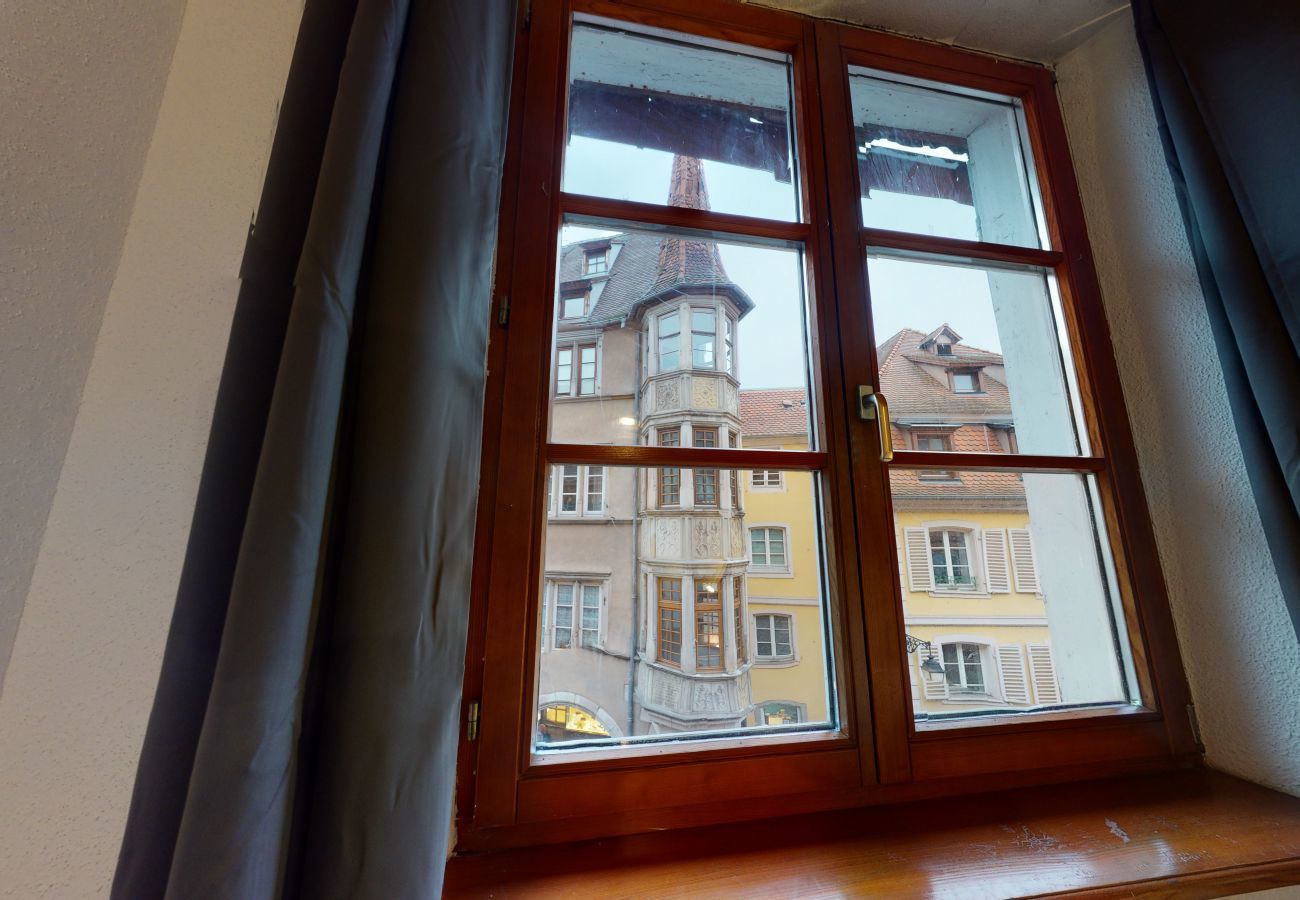 Apartment in Colmar - le petit thierenbach - maison alsacienne    2br