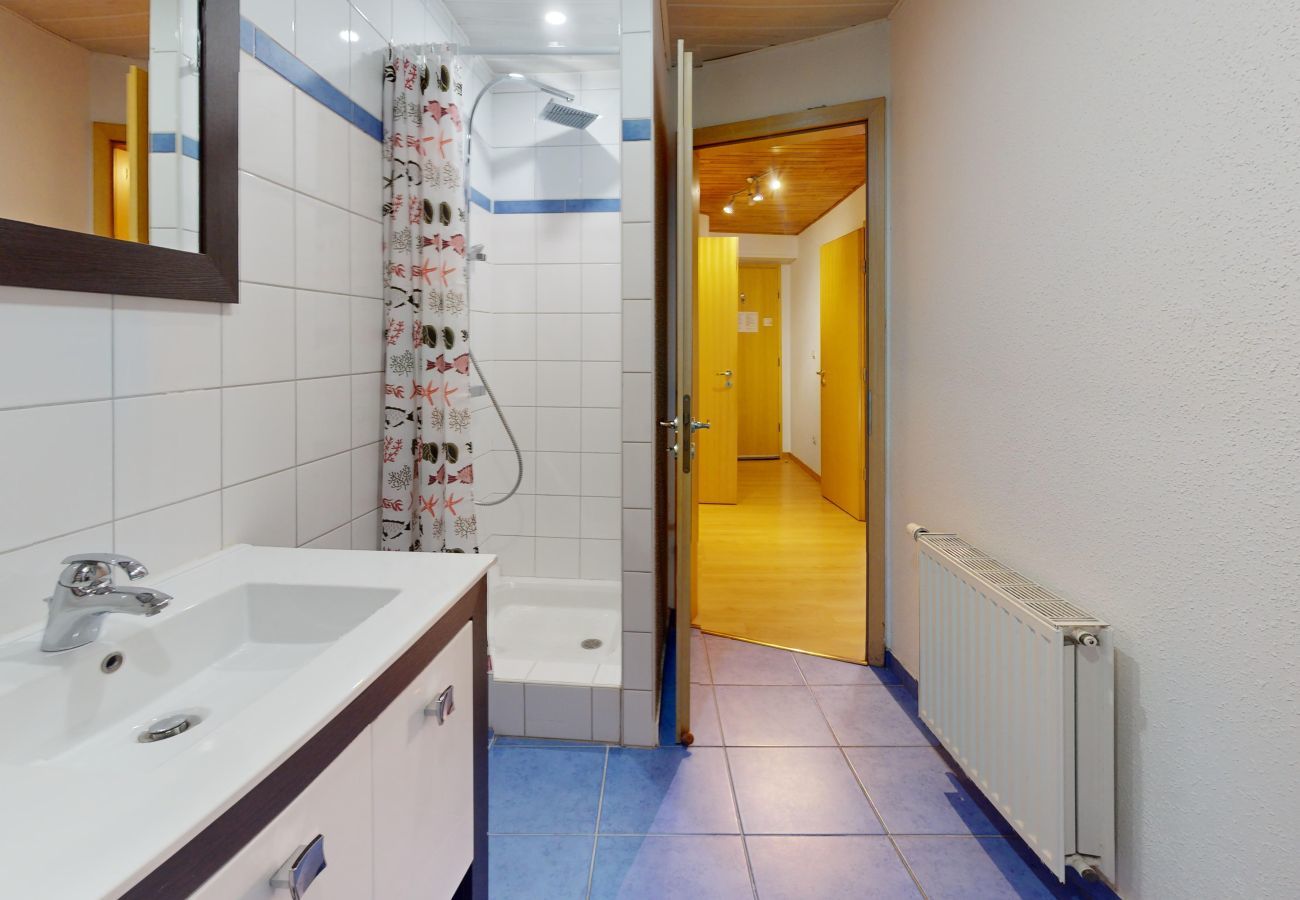 Apartment in Colmar - le petit thierenbach maison alsacienne    2br