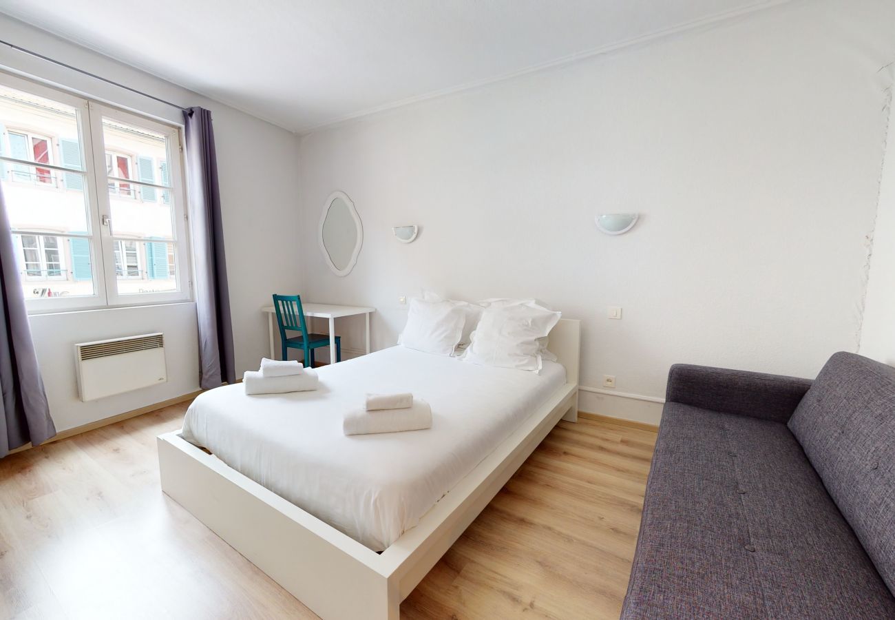 Apartment in Colmar - gite petite venise - centre historique up to 4