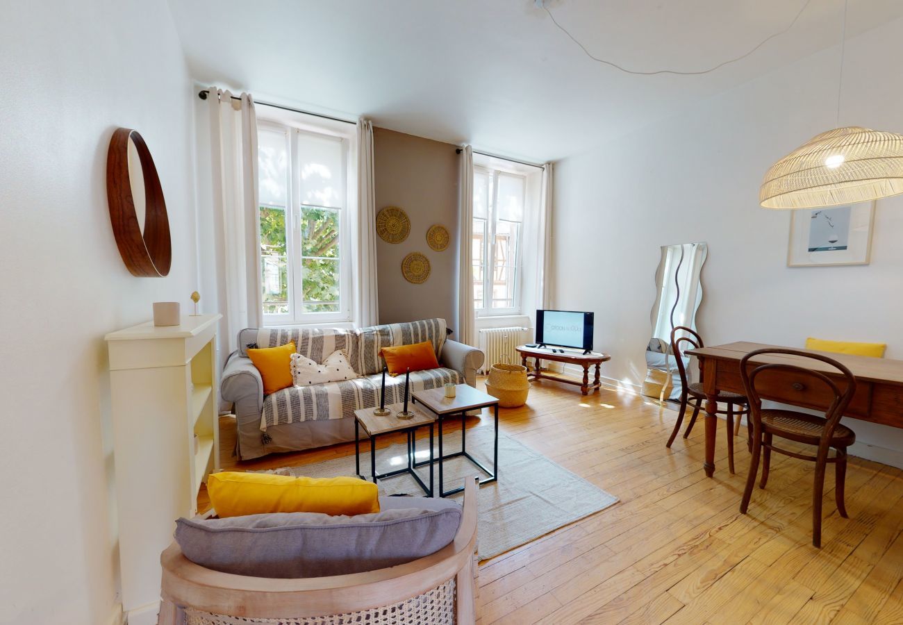 Apartment in Colmar - petite venise dream + 1 free parking + netflix 2br