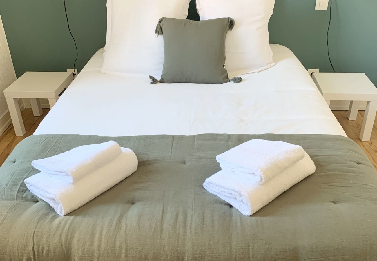 Apartment in Colmar - petite venise dream 1 free parking netflix 2br