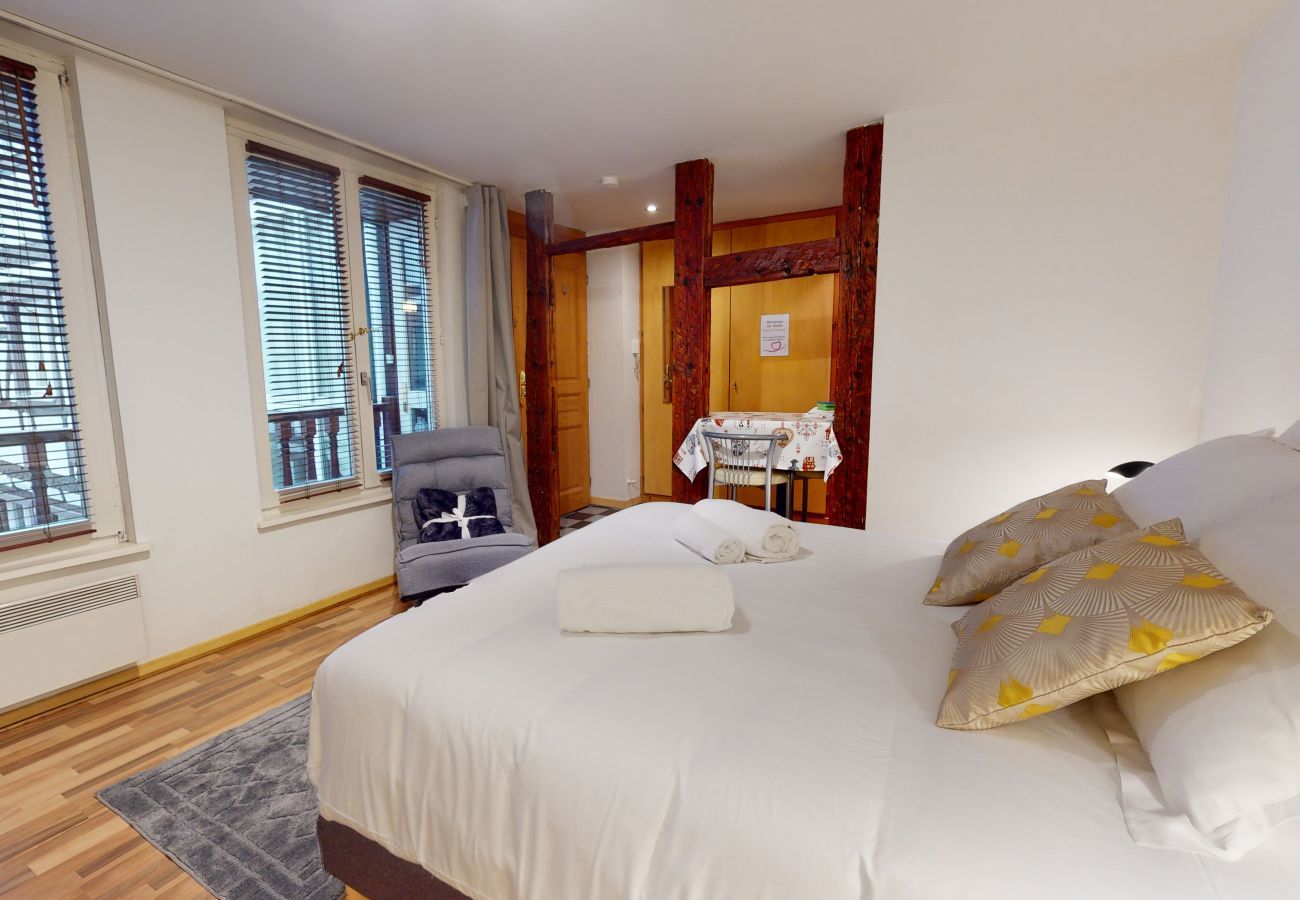 Studio in Strasbourg - studio coeur de strasbourg city center