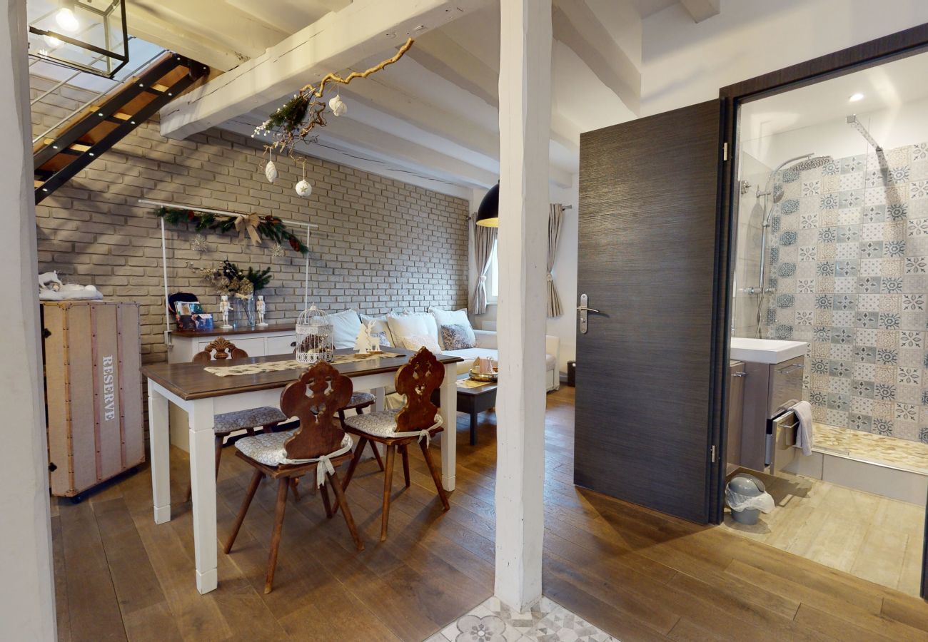 Apartment in Strasbourg - le nid de l ill magnifique duplex cosy petite fran