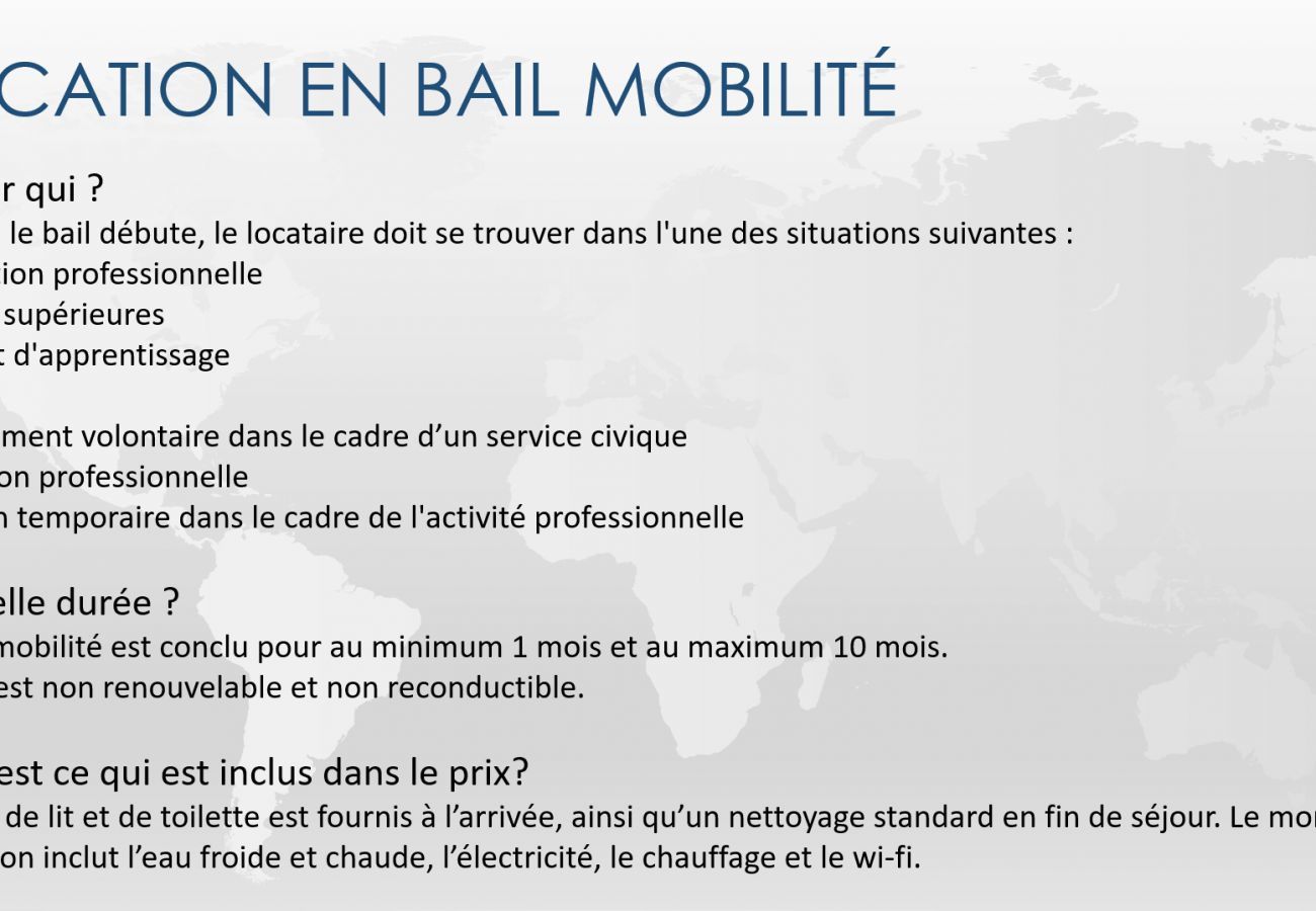 Studio in Strasbourg - Studio Hotel des Postes Bail mobilité