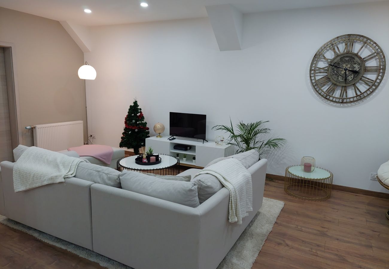 Apartment in Colmar - Le Bag appartement familial
