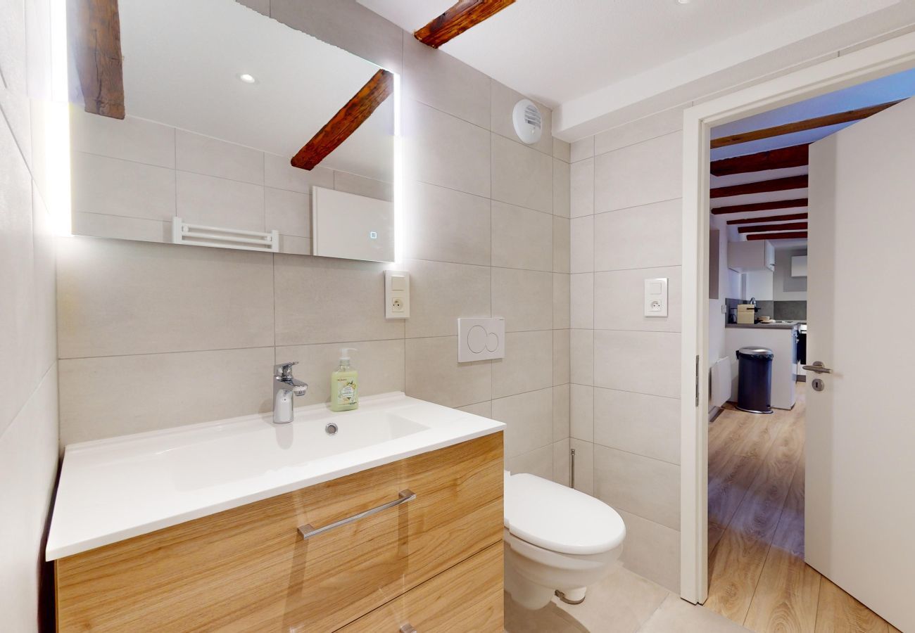 Aparthotel in Colmar - Ancien Relais 2 Clim/A-C
